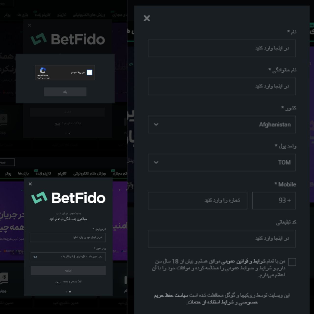 ثبت نام بت فیدو